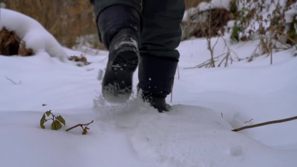Man goes through snowy forest path - Felvétel, videó