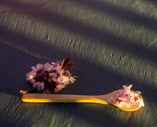 Деревянная ложка с съедобными цветами на тарелке
 - Фото, изображение