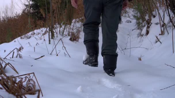 Az ember megy keresztül a havas erdei út - Felvétel, videó