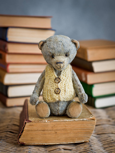 teddy bear teddy reading book in the library - Foto, Imagem