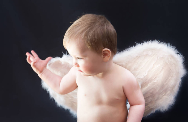 Baby boy with white wings, angel, cupid - Φωτογραφία, εικόνα