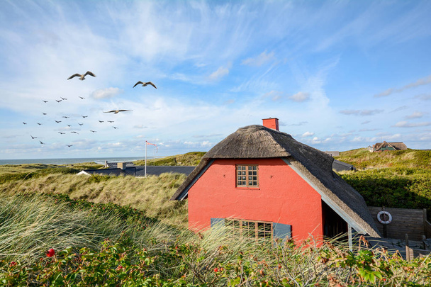 北の海、ユトランド半島のデンマークのスカンジナビアの砂丘の風景 - 写真・画像