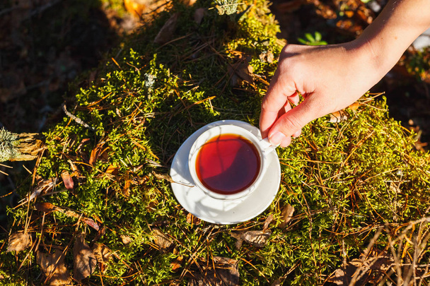 Female hand holding a white cup with tea on a saucer in the sunny forest - Foto, imagen