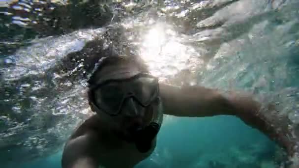 Молода людина плавання, підводне плавання в Червоному морі, повільний рух - Кадри, відео
