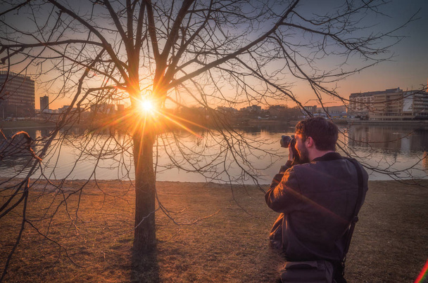 Photographer Taking Pictures of a Tree near the Lake - Foto, Bild