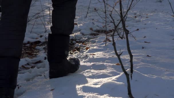 El hombre atraviesa el camino del bosque nevado
 - Metraje, vídeo