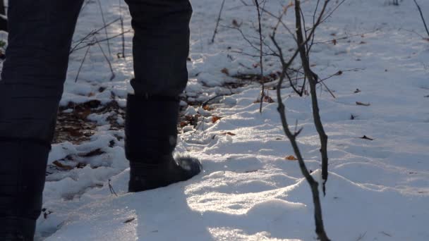Az ember megy keresztül a havas erdei út - Felvétel, videó