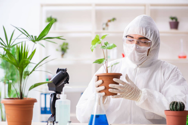 Biotechnology chemist working in lab - Photo, Image