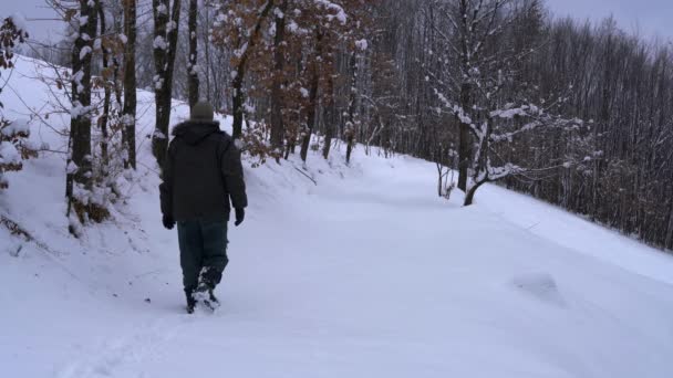 Man goes through snowy forest path - Footage, Video