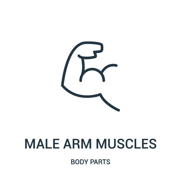 вектор иконок мужских мышц рук из коллекции частей тела. Тонкая линия мышц мужской руки обвести иконку векторной иллюстрации
. - Вектор,изображение