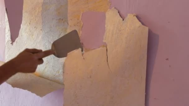 De mannelijke bouwers hand scheurt af of schil oud roze behang van de muur met een speciale spatel - Video