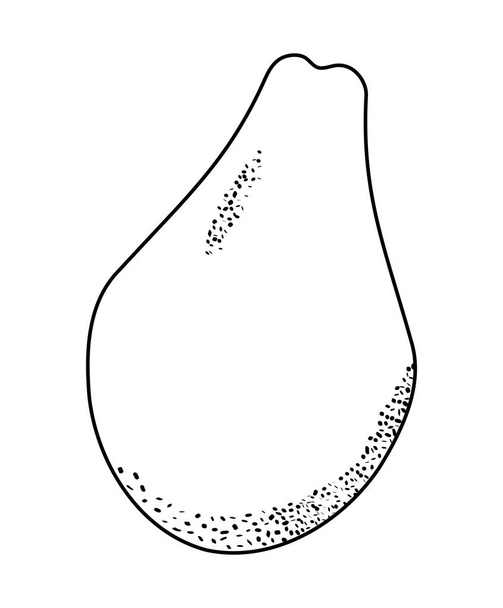čerstvým papája ovoce zdravé - Vektor, obrázek