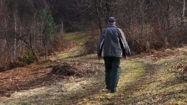 Człowiek przechodzi przez drogi leśnej wiosna  - Materiał filmowy, wideo