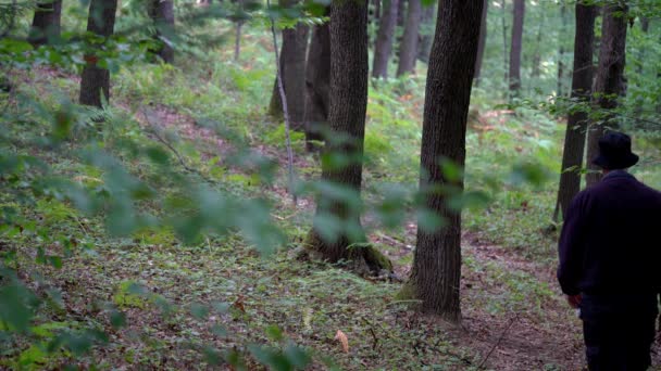 Man goes on way through forest - Felvétel, videó