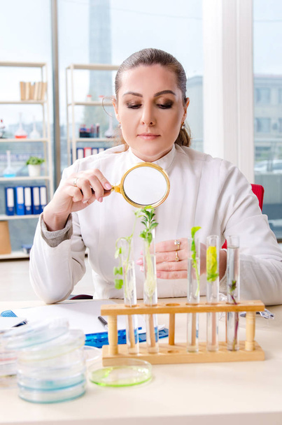 Female biotechnology scientist chemist working in the lab  - Фото, изображение