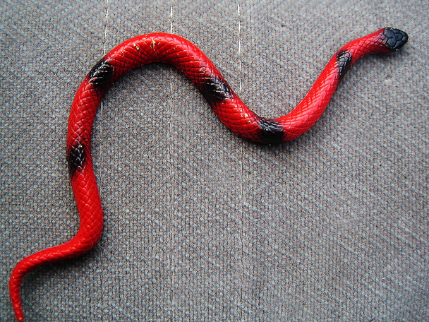 Red plastic macro snake background fine art - Photo, Image