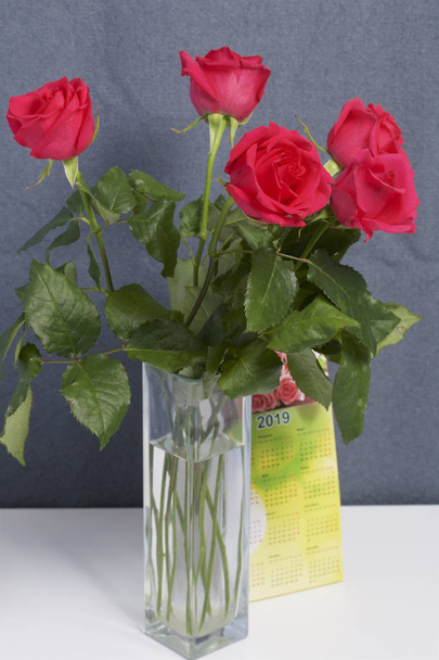 A bouquet of scarlet roses in a glass vase. Next is a calendar. On a gray background. - Valokuva, kuva