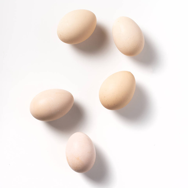 Brown eggs on white background. - Фото, зображення