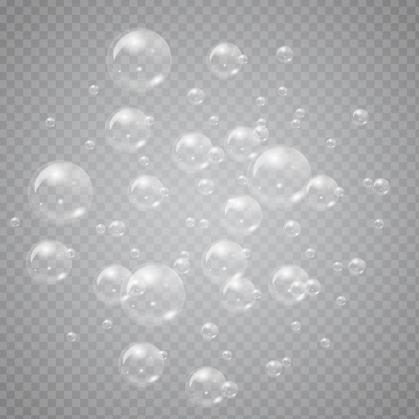 Grupo de burbujas de jabón transparente aisladas en el fondo. Alta ilustración vectorial detallada
. - Vector, Imagen