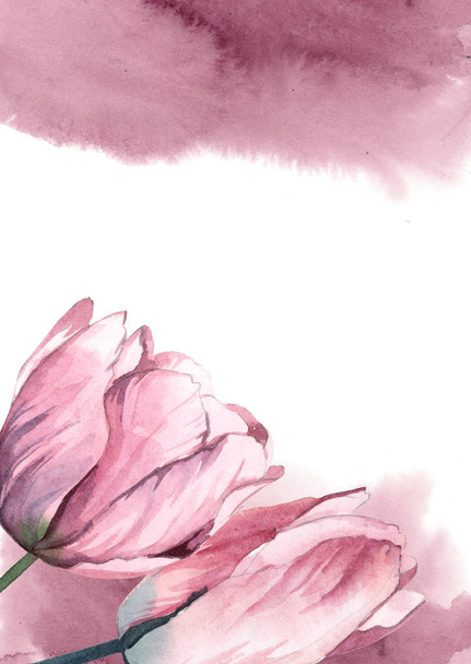 watercolor pink tulips with rose paint splash on white - Valokuva, kuva