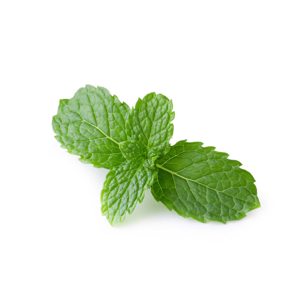 Mint leaves isolated on a white background. - Photo, Image