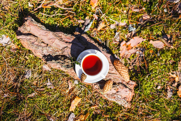 White cup with tea on a tree bark in the forest - Foto, imagen