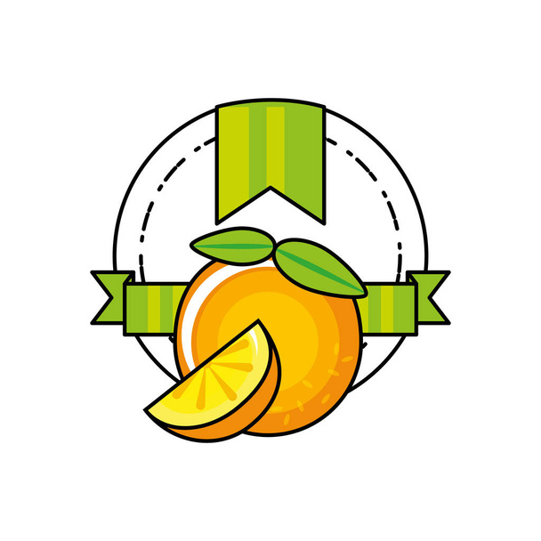 tuoreet appelsiinit sitrushedelmät ikoni - Vektori, kuva