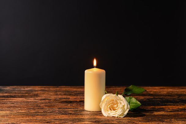 Burning candle and flower on table against black background - Фото, изображение