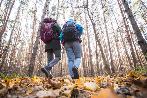 adventure, travel, tourism, hike and people concept - young couple with backpacks in the forest - Photo, Image