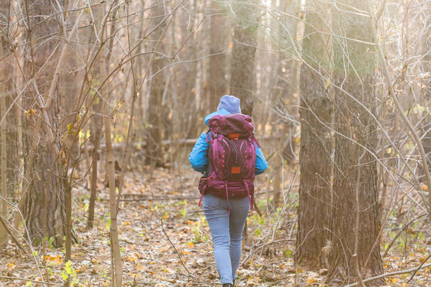 Gente y concepto de la naturaleza - Mujer viajera caminando en el bosque, vista trasera
 - Foto, Imagen