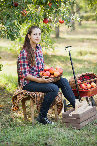Girl with Apple in the Apple Orchard - Фото, изображение
