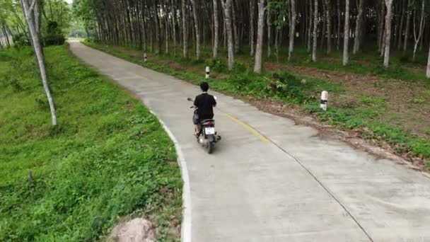 空撮若い男パラ ゴム製木のプランテーションの間コンクリート道路にバイクを運転 - 映像、動画
