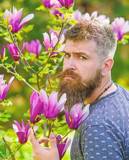 Man with beard and mustache on strict face near flowers on sunny day. Gardener concept. Hipster enjoys spring near purple blossom. Bearded man with fresh haircut posing with bloom of magnolia - Foto, Imagen