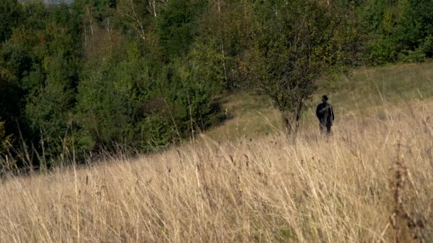 L'homme va à un arbre solitaire avec un crocus printanier
  - Séquence, vidéo