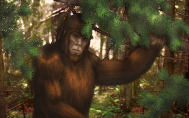 Ormanda saklanıyor Bigfoot. - Fotoğraf, Görsel