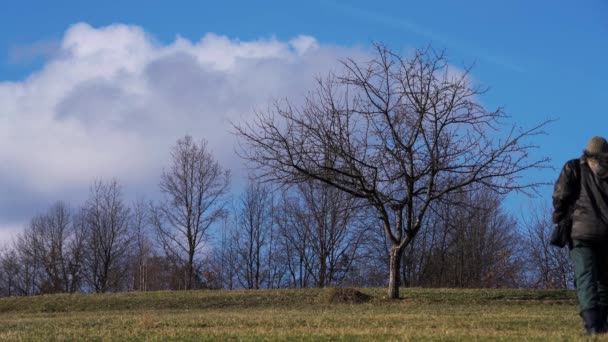 El hombre va a un árbol solitario con azafrán de primavera
  - Imágenes, Vídeo