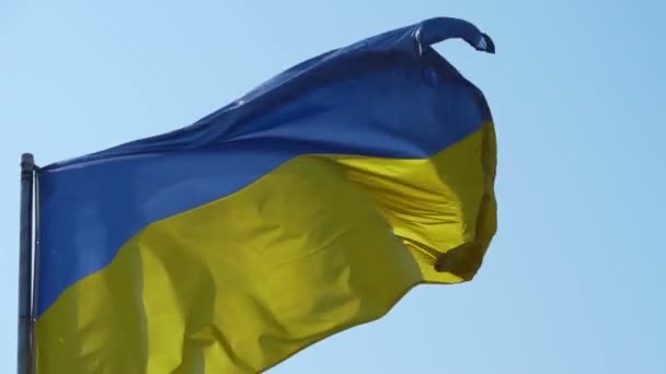 Bandera nacional de Ucrania celebra en el viento, bandera se desarrolla en el sol
 - Imágenes, Vídeo
