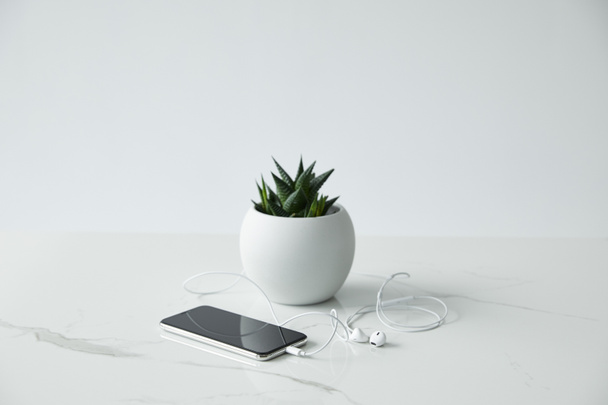Smartphone mit leerem Bildschirm, kabelgebundenen Kopfhörern und Blumentopf isoliert auf grau - Foto, Bild