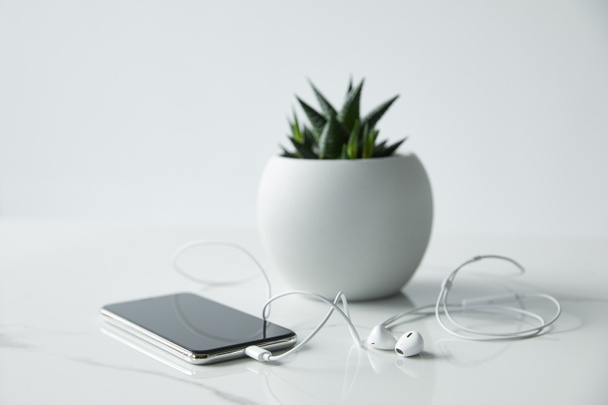 selective focus of smartphone with earphones and flowerpot isolated on grey - Photo, Image
