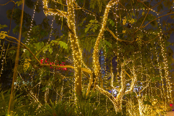 verschwommene dekorative Lichterketten im Freien, die nachts am Baum im Garten hängen - dekorative Weihnachtsbeleuchtung - frohes neues Jahr  - Foto, Bild