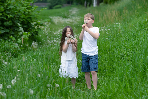 Un chico con una chica jugando en un campo con dientes de león
. - Foto, Imagen