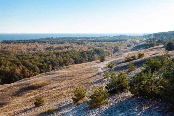 beautiful view of the protected area near the sea, Curonian Spit National Park - Photo, Image