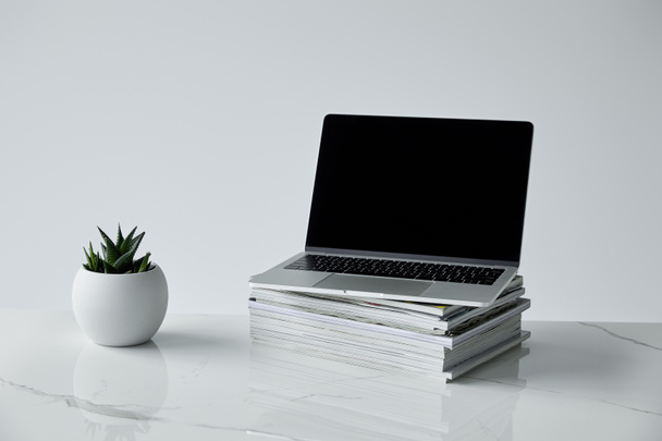 laptop on stack of journals, and flowerpot isolated on grey - Photo, Image