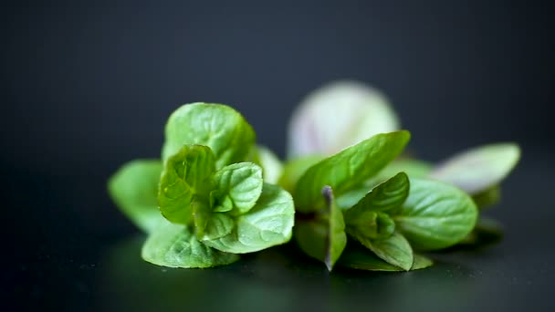bunch of fresh green mint on black background - Кадры, видео