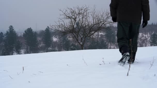 Man gaat naar een eenzame boom in diepte sneeuw - Video
