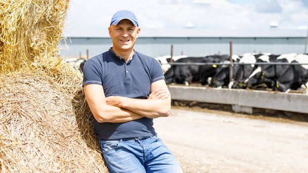 Agricultor trabajando en granja con vacas lecheras
 - Foto, Imagen