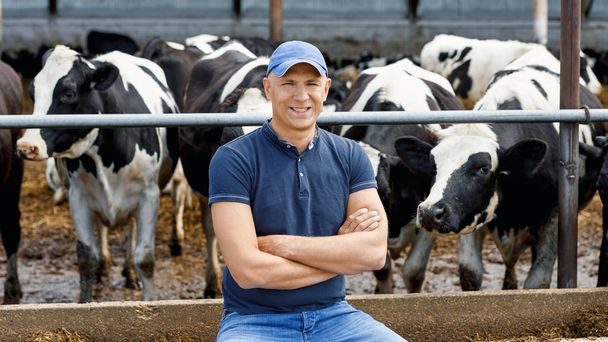 Farmer working on farm with dairy cows - Photo, Image