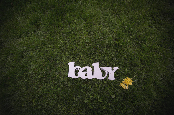 palabra de madera del bebé en el fondo de hierba
 - Foto, Imagen