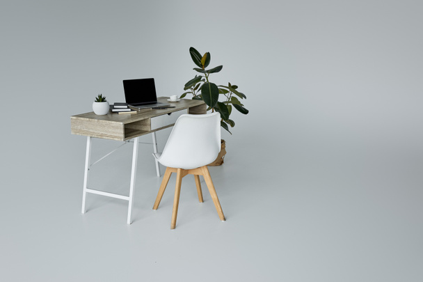 asztal laptop, virágcserép, könyvek, zöld Ficus és fehér szék szürke háttér - Fotó, kép