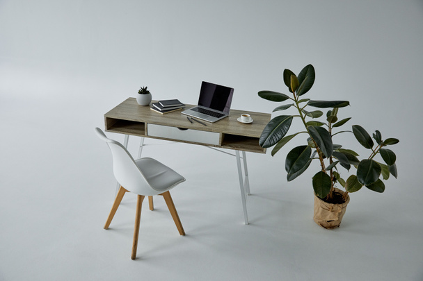 witte stoel, Ficus in bloempot, tafel met laptop en boeken op grijs  - Foto, afbeelding